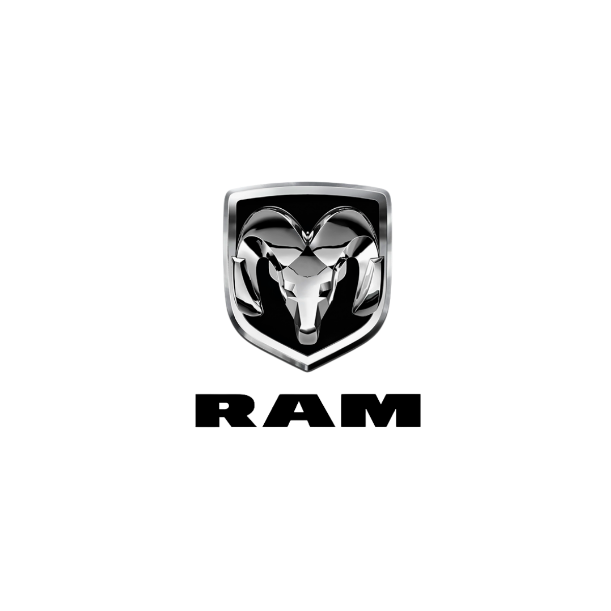 RAM